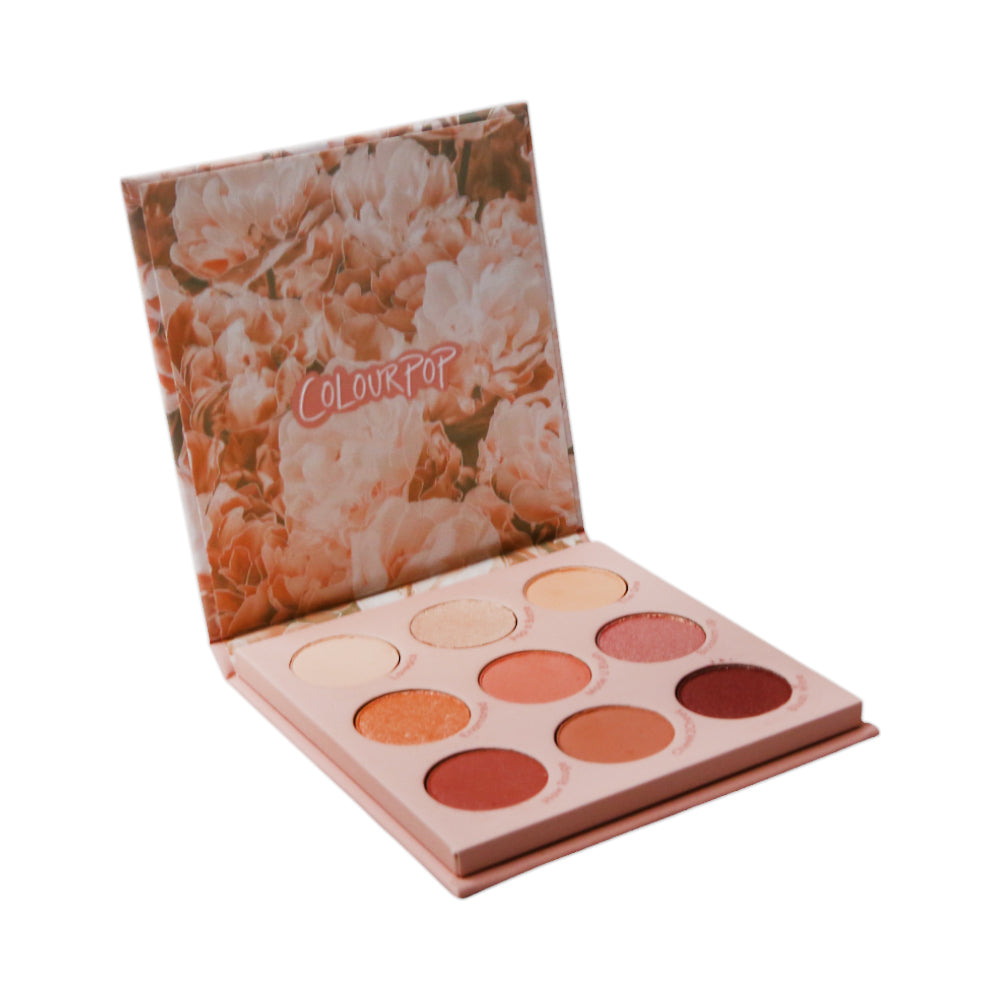 COLOURPOP BLUSH CRUSH EYESHADOW PALETTE 9G