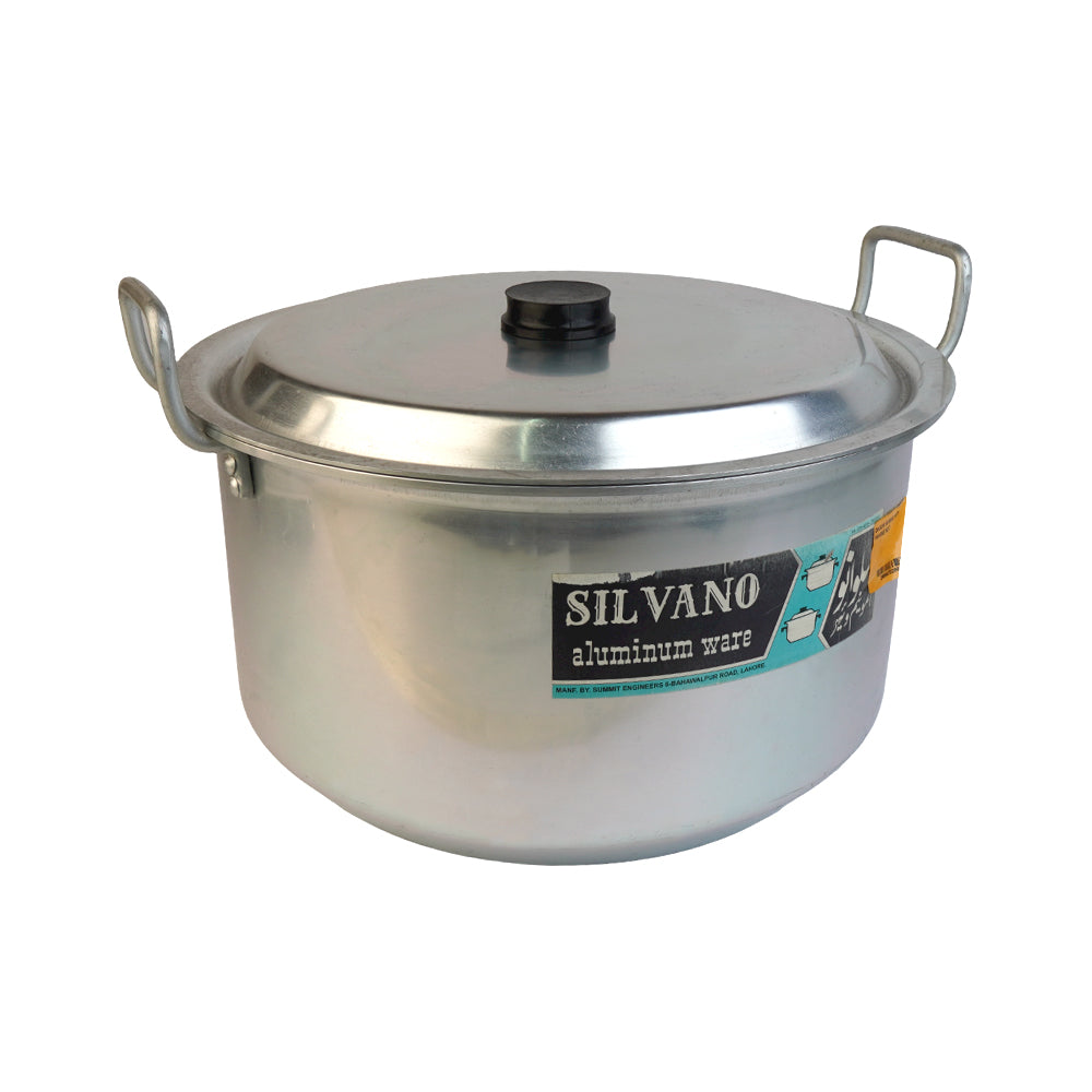 DAGCHI SILVANO WITH HANDLE NO 7