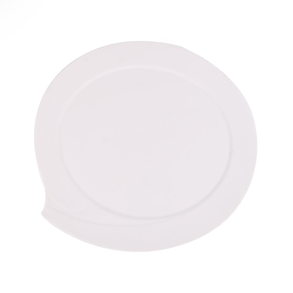 DISH PORCELAIN WHITE IR 12INCH G024