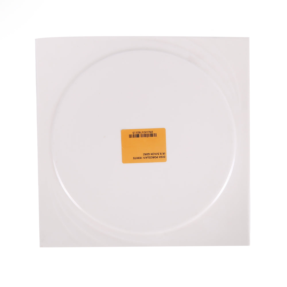 DISH PORCELAIN WHITE IR 9.5INCH G042