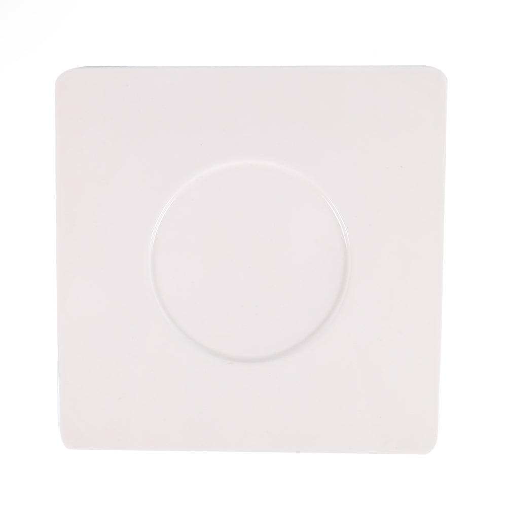 DISH PORCELAIN WHITE IR 12INCH G070