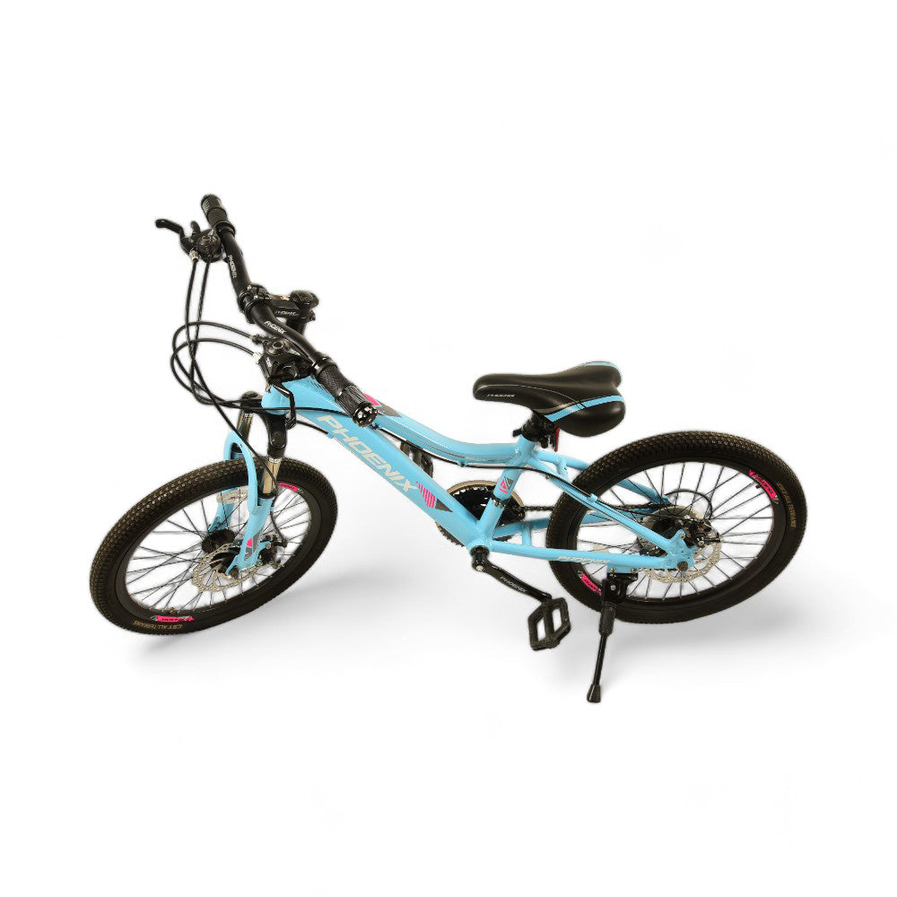BICYCLE 20 INCH IR 221 D19-24