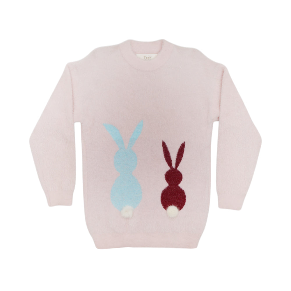 GIRLS L/S ROUND NECK SWEATER MW-22 10-11 YEAR CHI TN-617