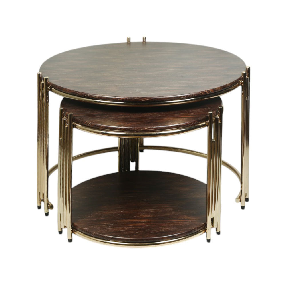 CENTRE TABLE TIGER 2 PCS SET