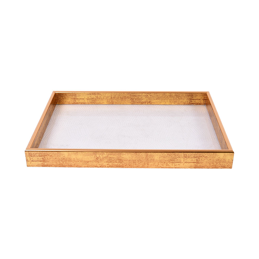 TRAY SURVING 940411-44