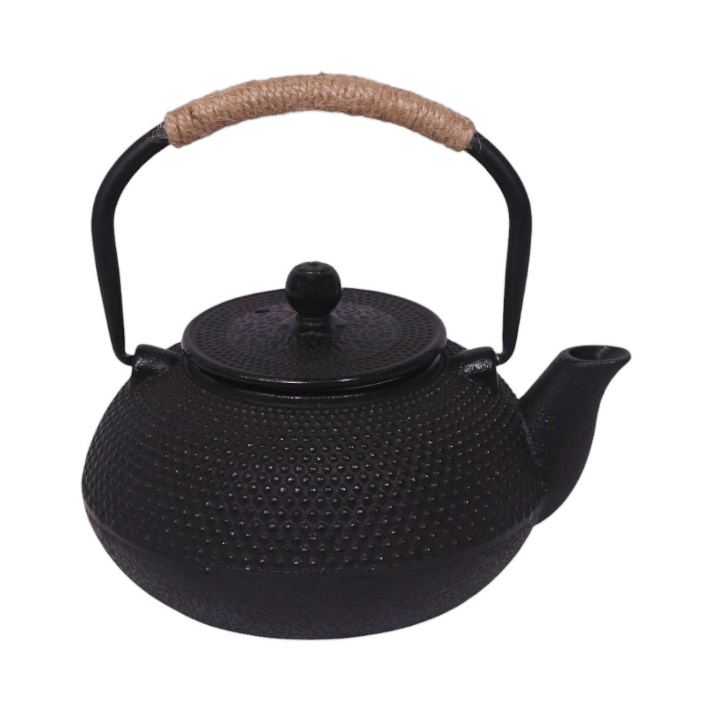 KETTLE IR 600 ML 16977-6/E-12