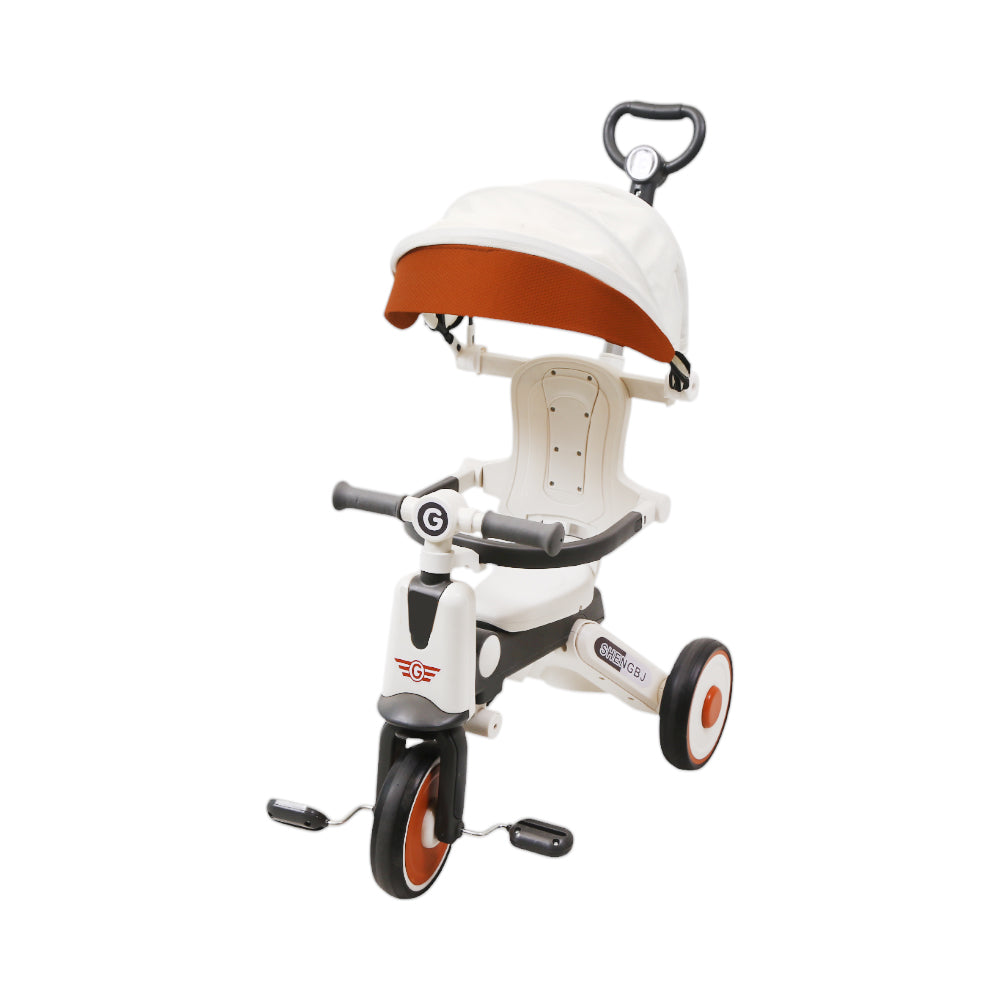 KIDS TRICYCLE DT610D