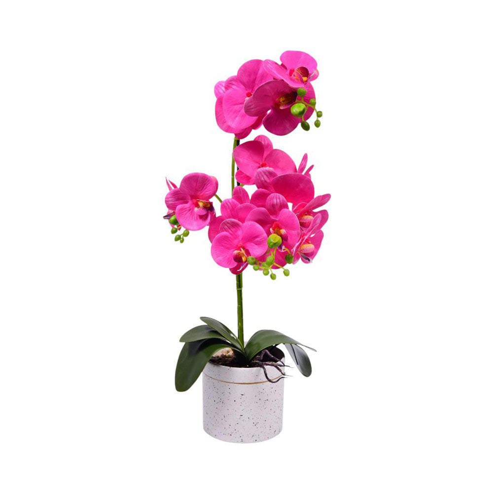 FLOWER POT 2418-6