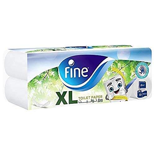 FINE TOILET ROLL 2 PLY 10 ROLLS PACK