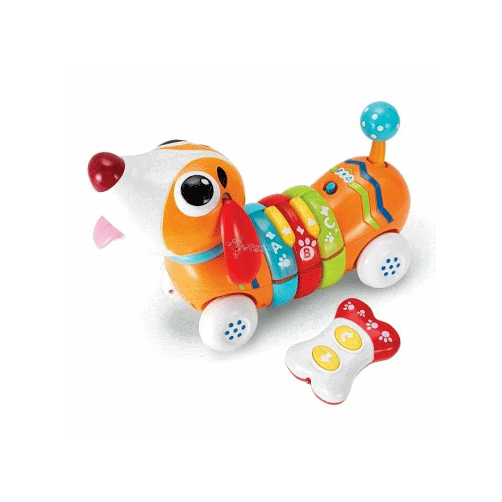 1142 WIN FUN RAINBOW PUP BASIC