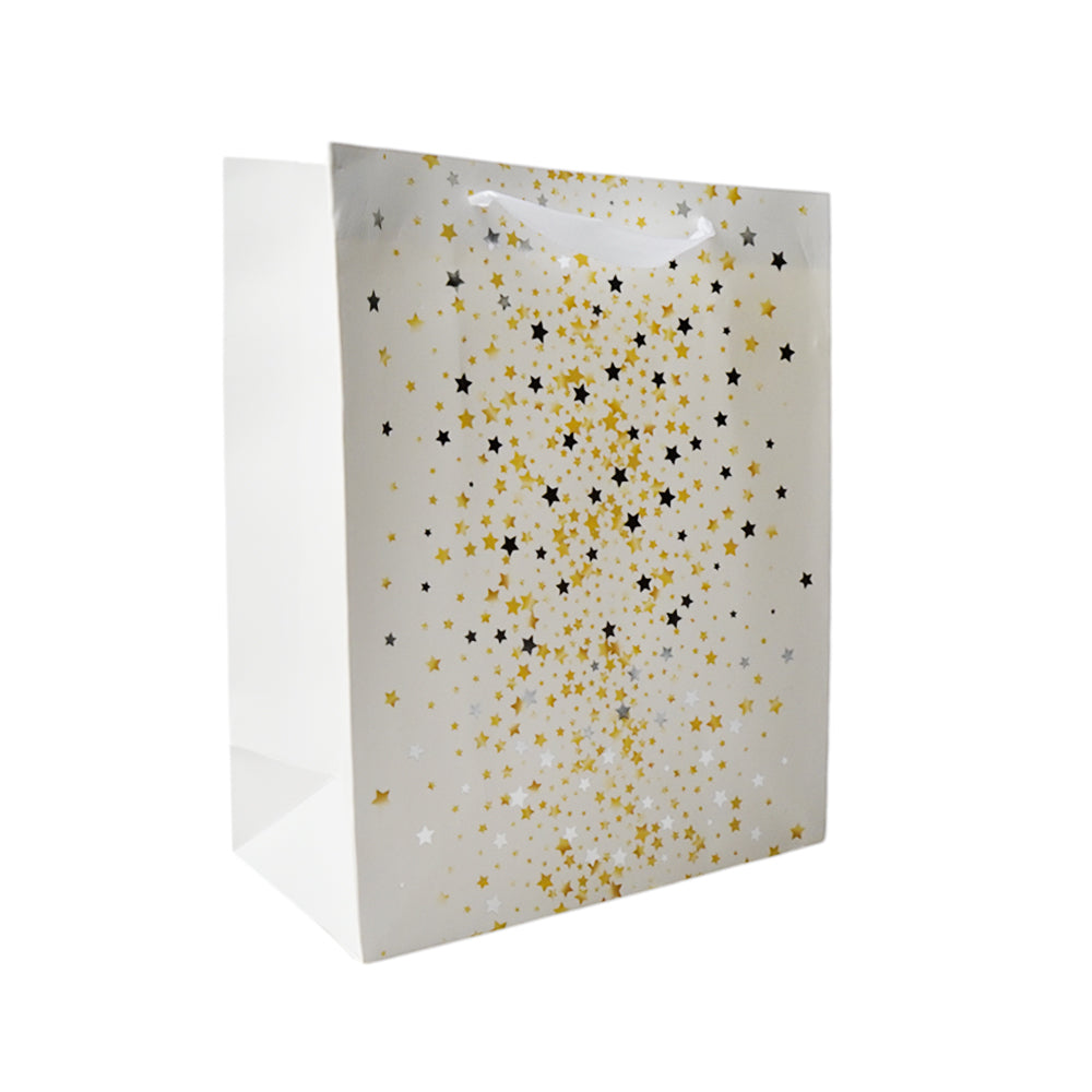 12M-2 FANCY GIFT BAG IR