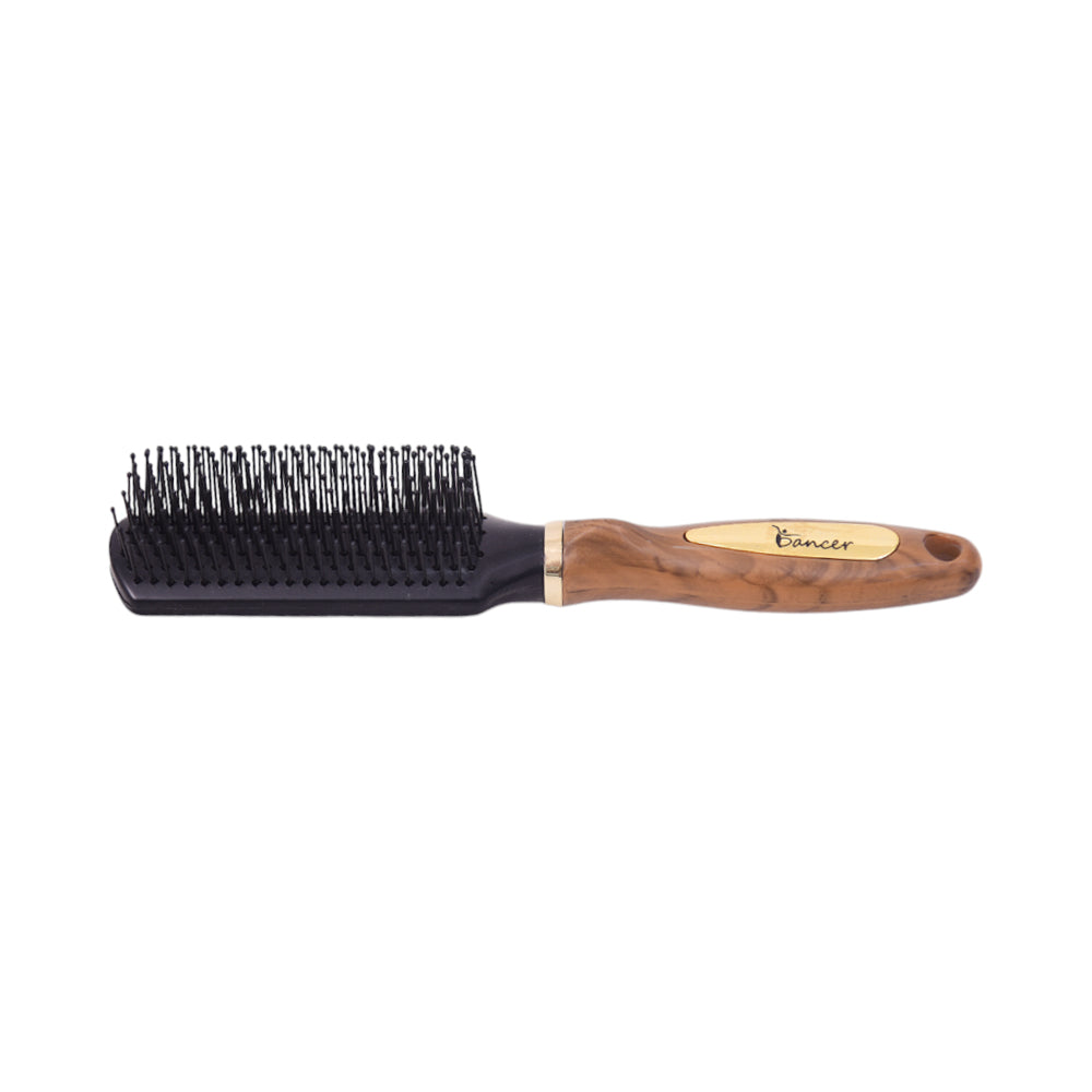 DANCER HAIR BRUSH 9810GD