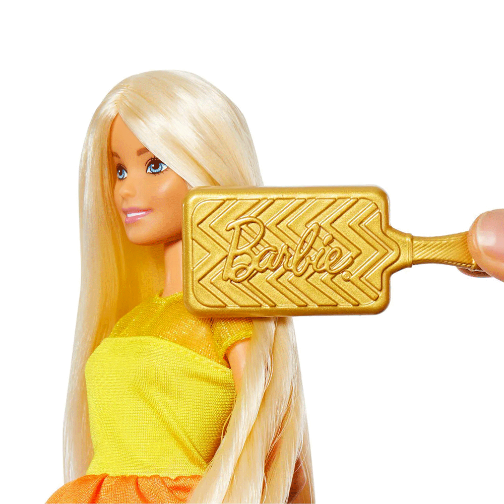 Barbie Doll W-Accessories Gbk24 Pc