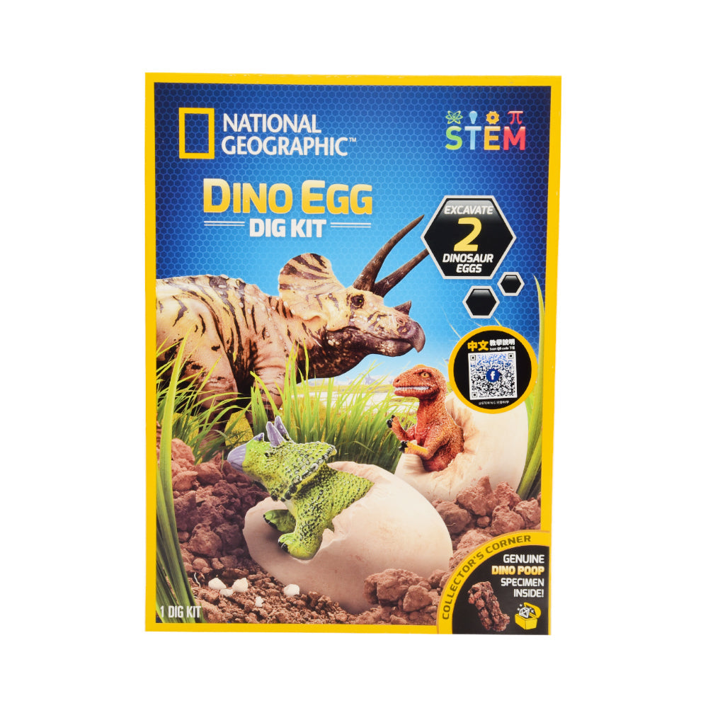 NG DINO EGG DIG KIT