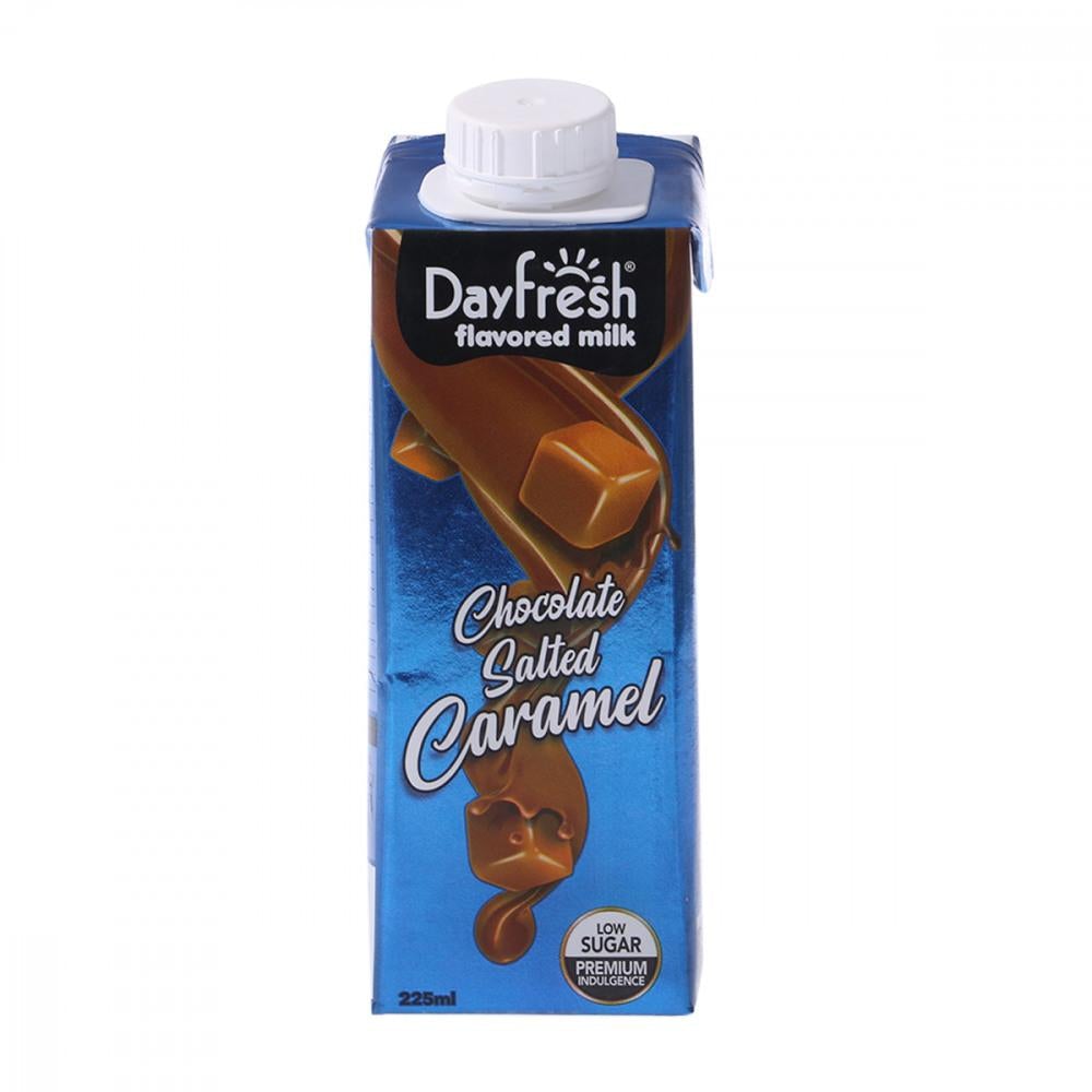 DAY FRESH FLAVORED MILK CHOCOLATE SALTED CARAMEL 225ML