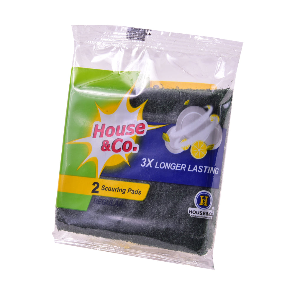 HOUSE&CO. SCOURING PAD REGULAR 2IN1