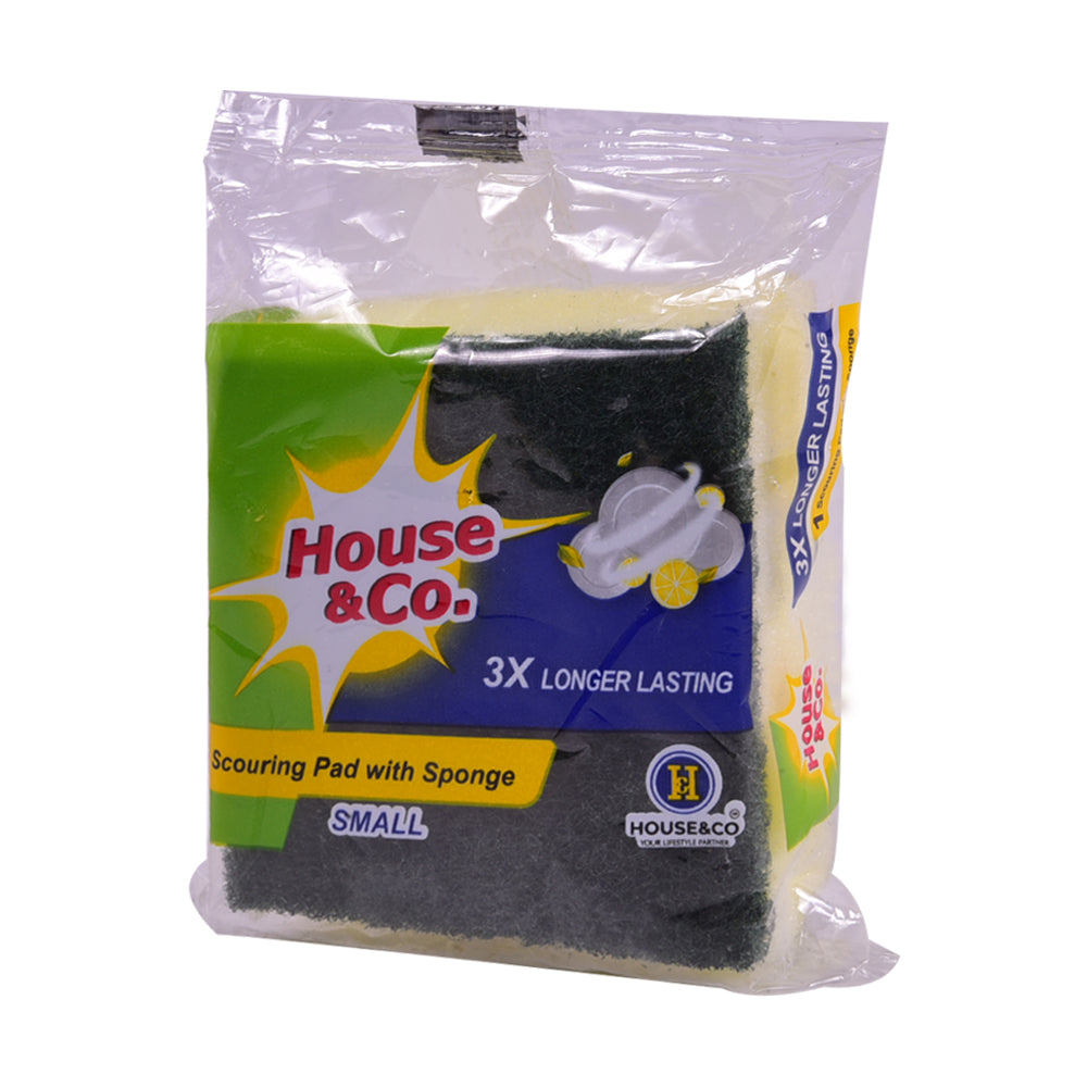 HOUSE&CO. SCOURING PAD WITH SPONGE SMALL 1PCS