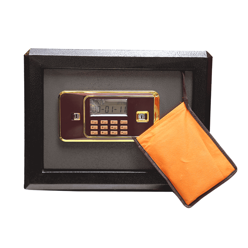 ELECTRIC SAFE D-310 BASIC