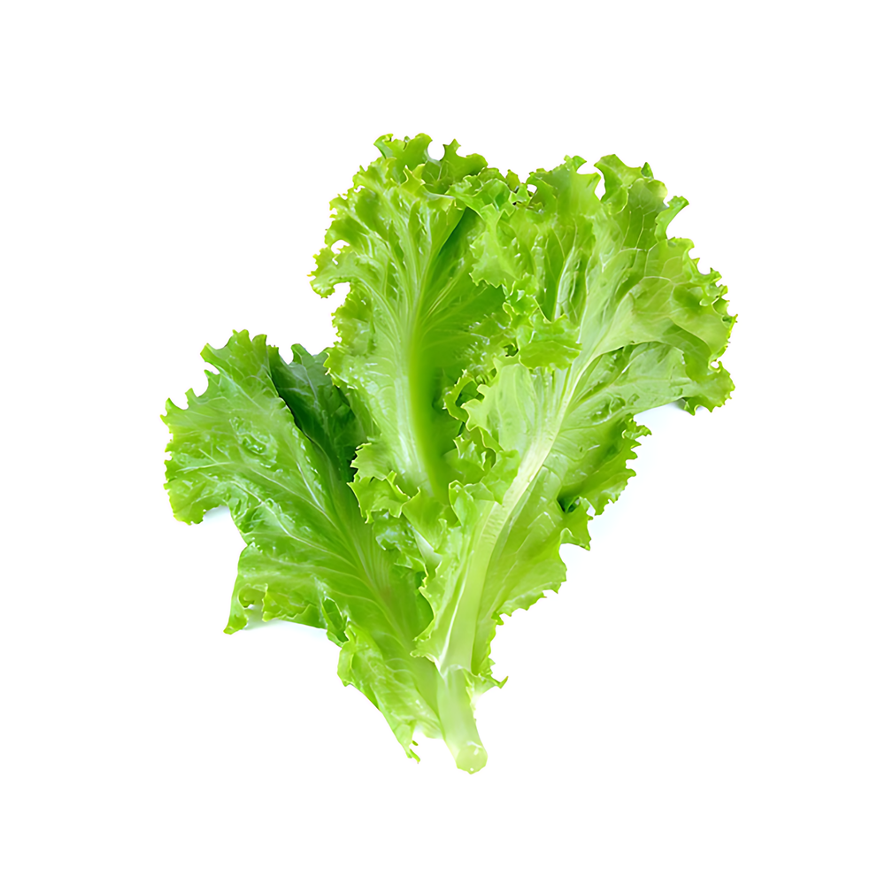 SALAD LEAF (Bunch)