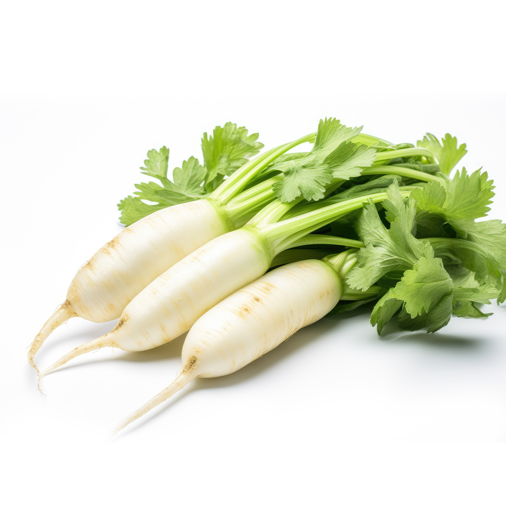 RADDISH WHITE(Safed Mooli)(1 KG TO 500 GM)