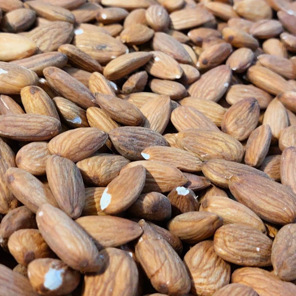 ALMOND SANORA WO SHELL LOOSE