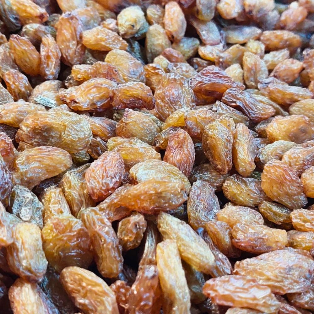 RAISIN MUNAKKA LOOSE