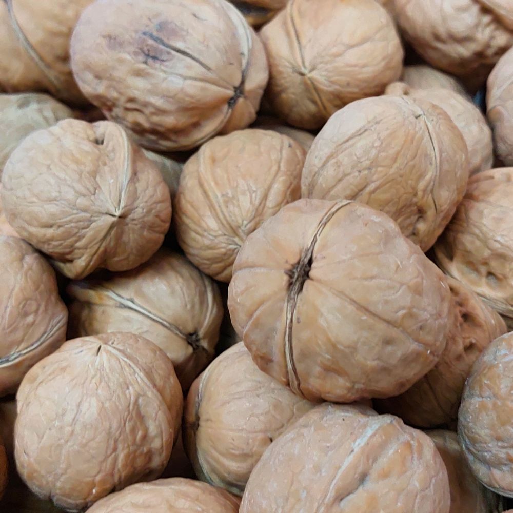 WALNUT WHOLE USA LOOSE