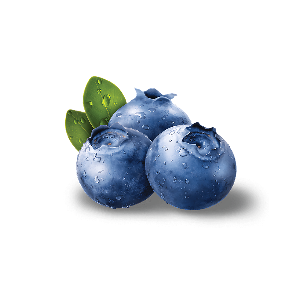 BLUE BERRY (125GM Box)
