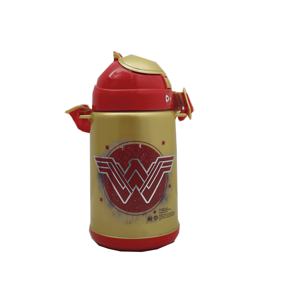 ST-514 KIDS SCHOOL WATER BOTTLE 540ML ASST M.T