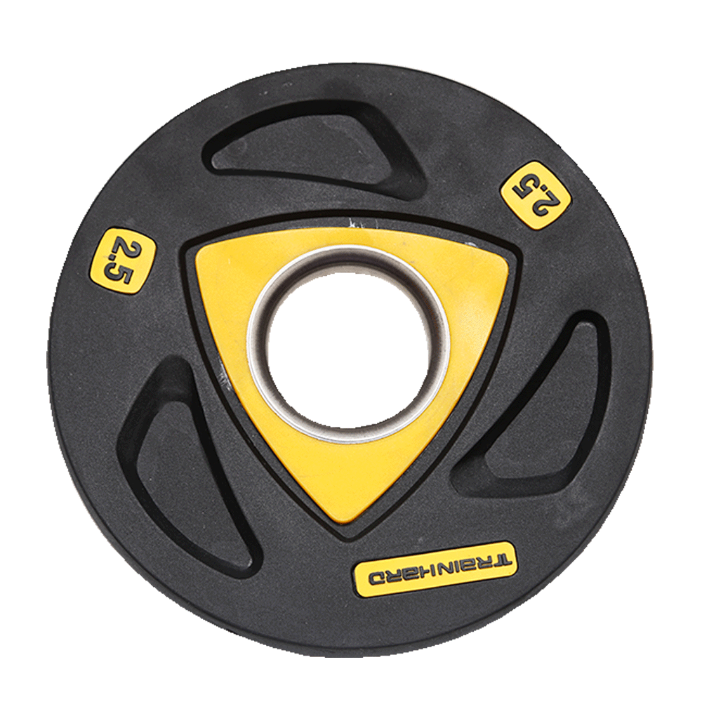 EXERCISE PLATES 2.5 KG EACH IR LM-0963