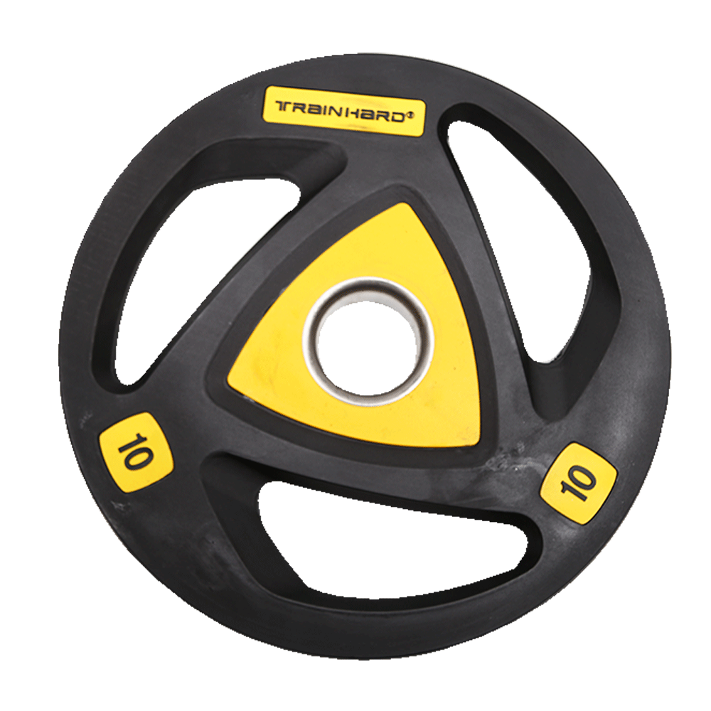 EXERCISE PLATES 10 KG EACH IR LM-0963