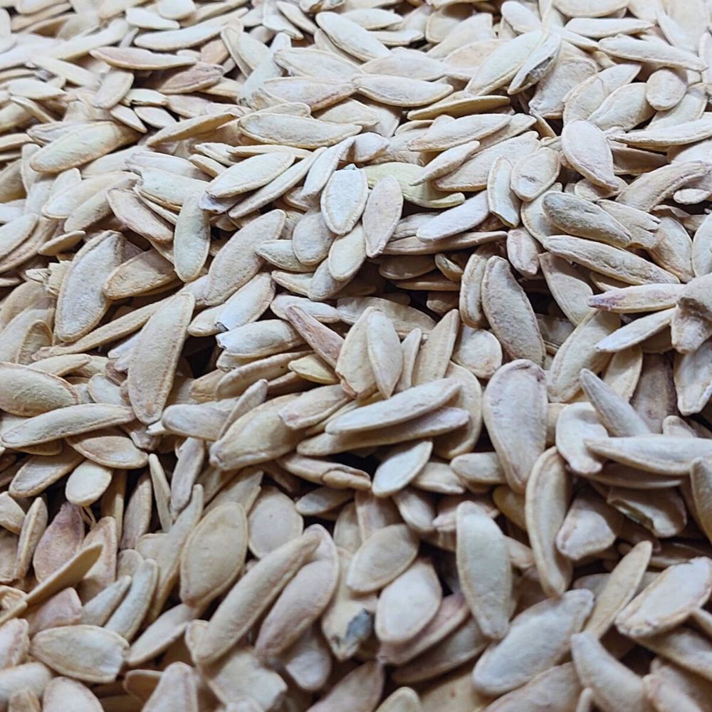 PUMPKIN SEED SALTED LONG LOOSE