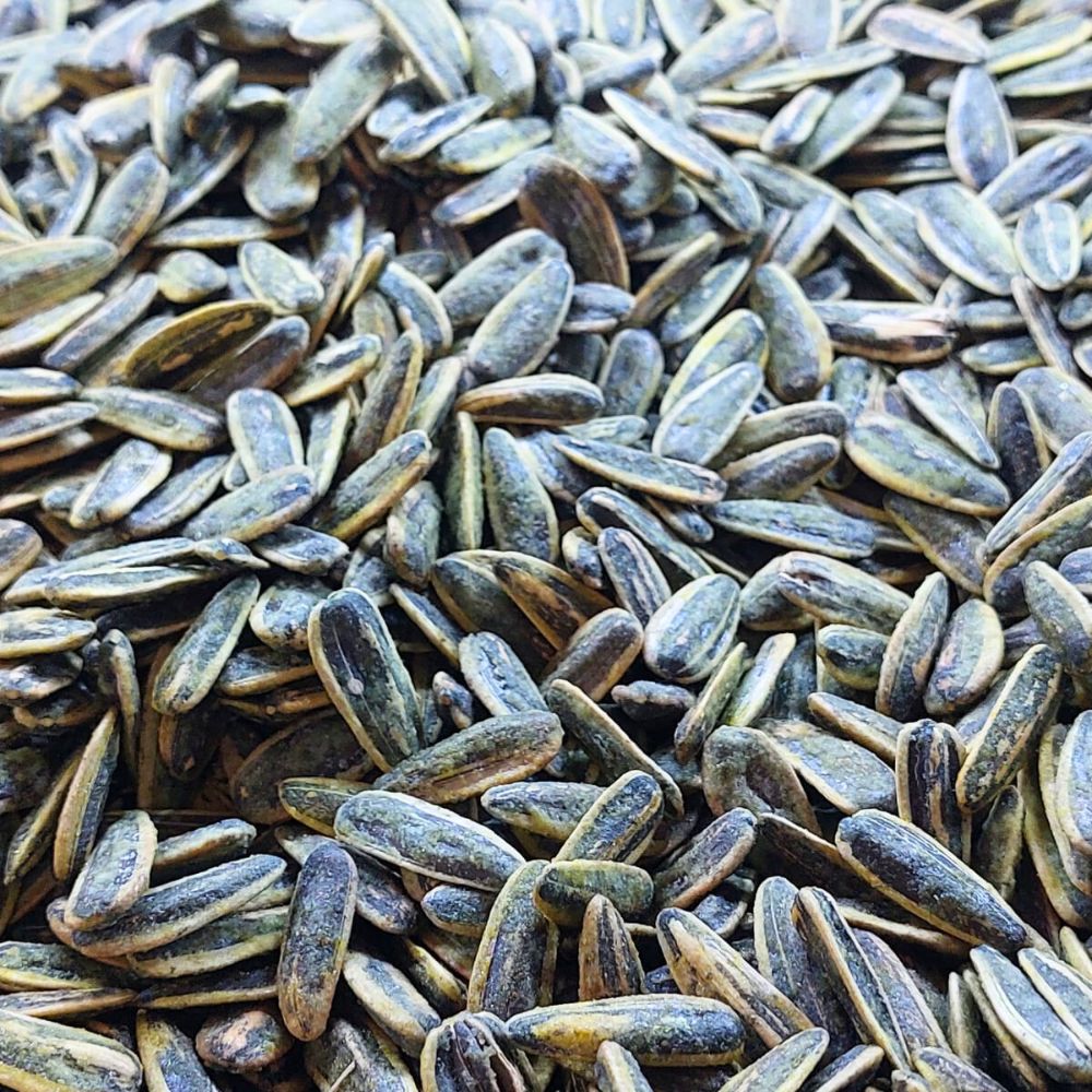 SUN FLOWER SEEDS ROASTED LOOSE