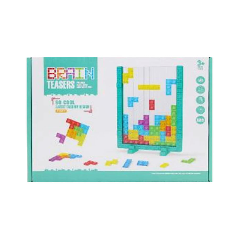 K8806 BRAIN TEASER GAME