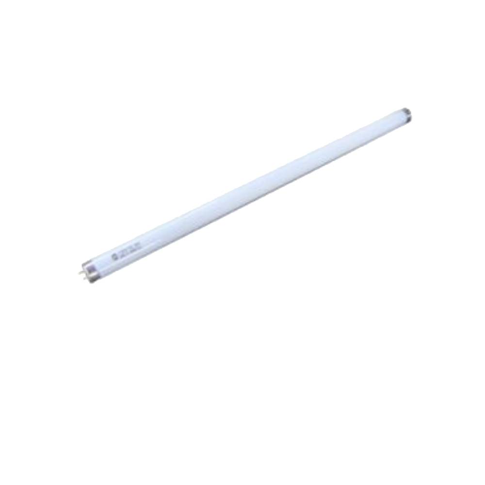 MOEL CRI CRI ROD 307 PC