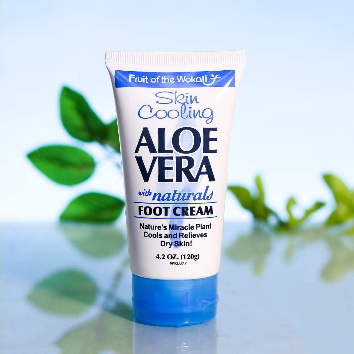 WOKALI FOOT CREAM ALOE VERA IR 120 GM WKL077 – Al-Fatah