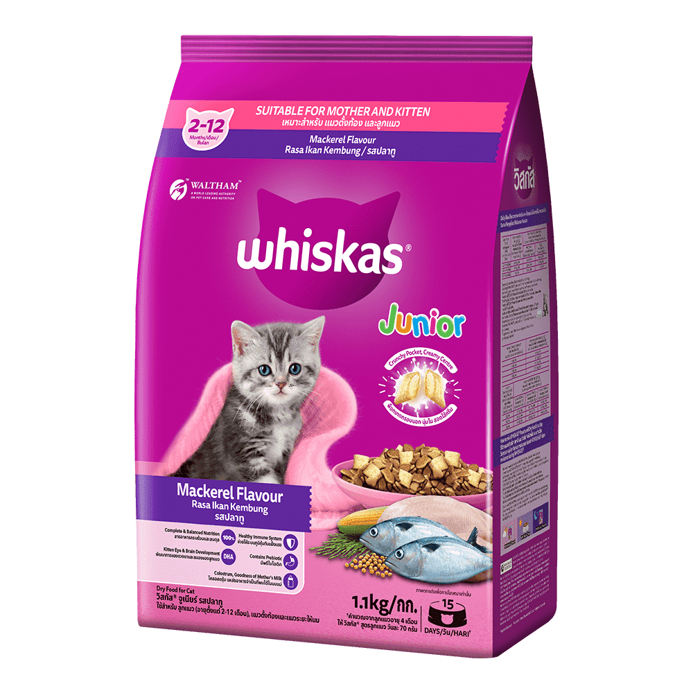 WHISKAS CAT FOOD JUNIOR MACKEREL FLAVOUR 1.1 KG