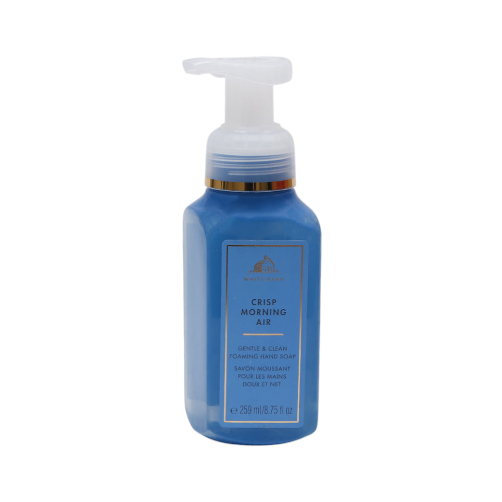 BBW CRISP MORNING AIR GENTLE & CLEAN FOAMING HAND SOAP 295ML