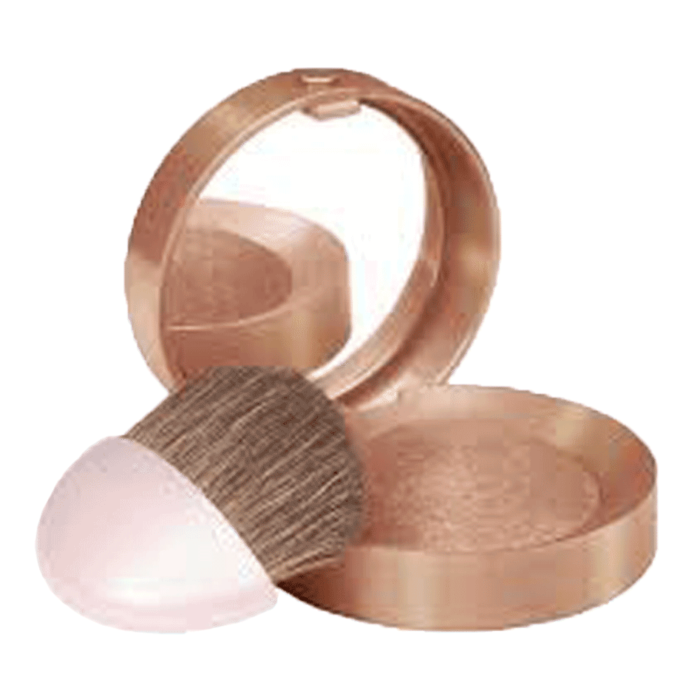 BOURJOIS BLUSHER