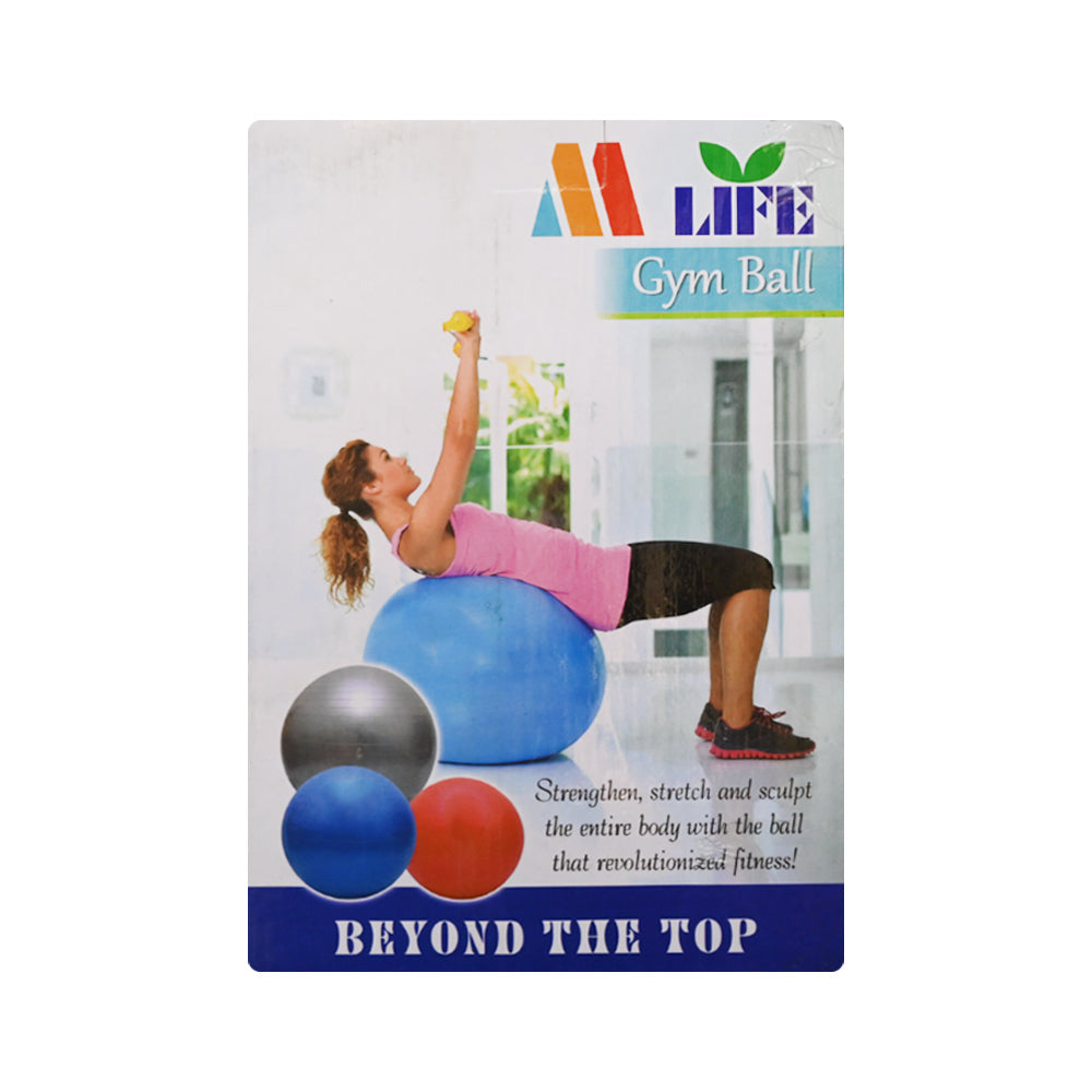 GYM BALL 100CM EXERCISE PC