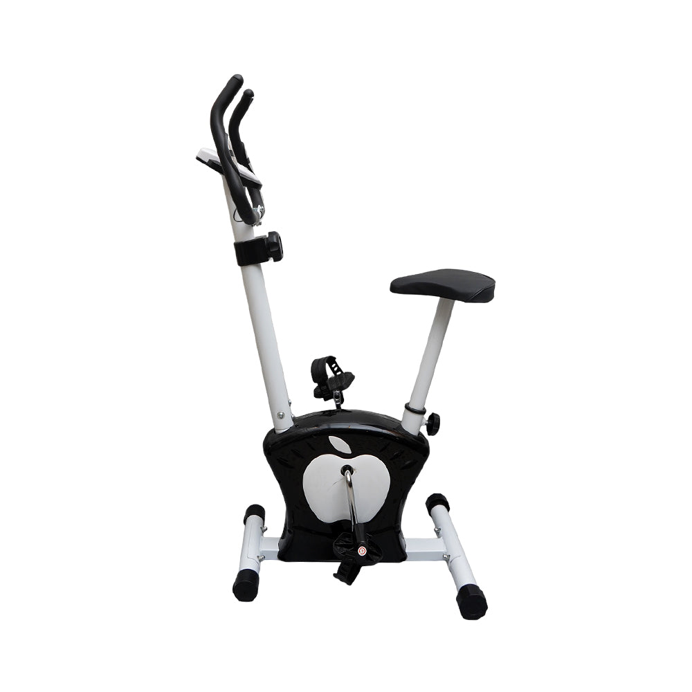 Exercise Magnetic Cycle 221 Pc