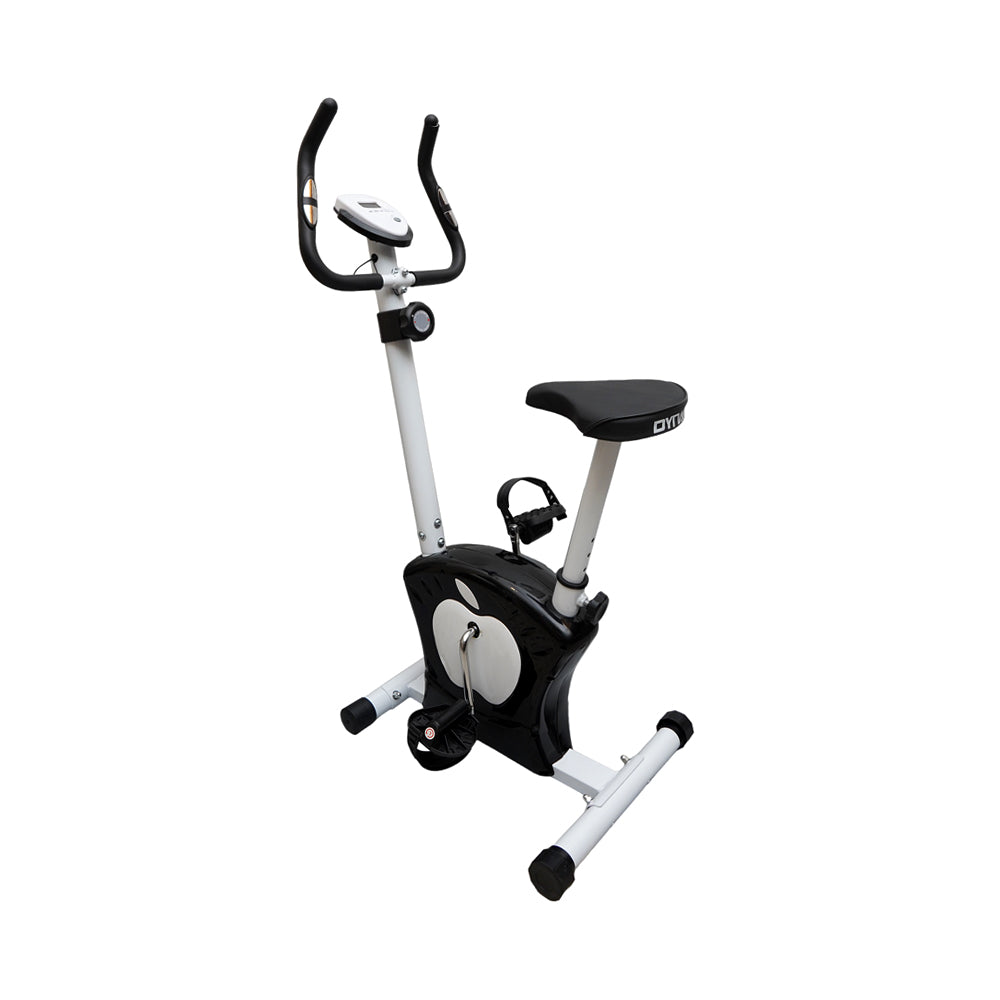 Exercise Magnetic Cycle 221 Pc