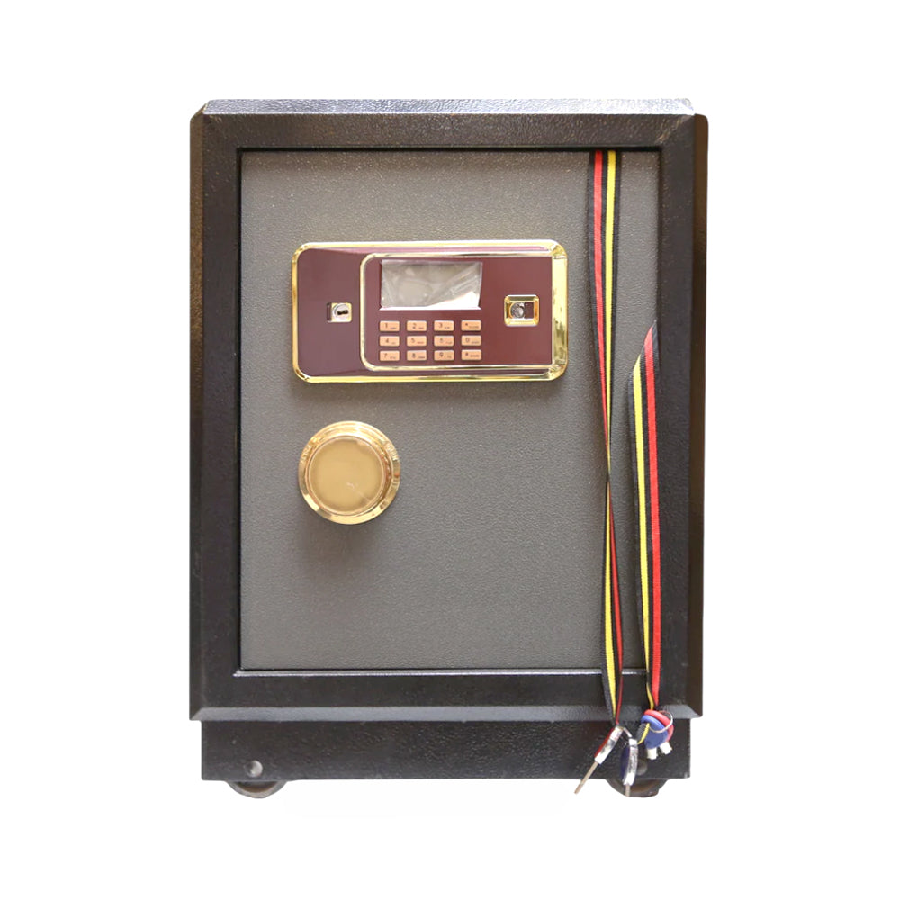 ELECTRIC SAFE D65B
