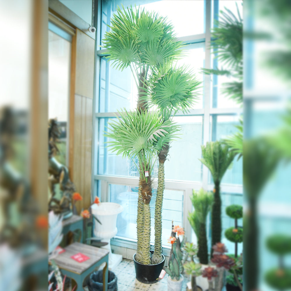 TREE PALM IR CH10808124 BASIC