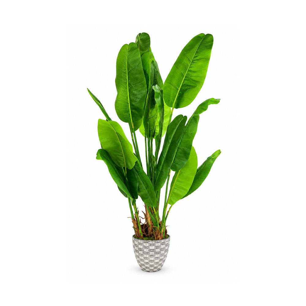 ARTIFICIAL TREE IR CREAM SLTMB17-17G BASIC