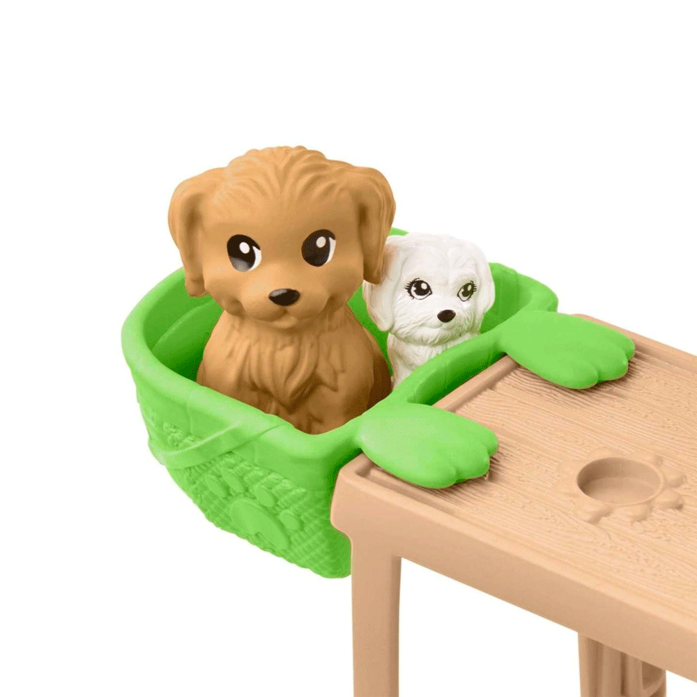 HJY35 BRB CHELSEA DOLL & PLAYSET