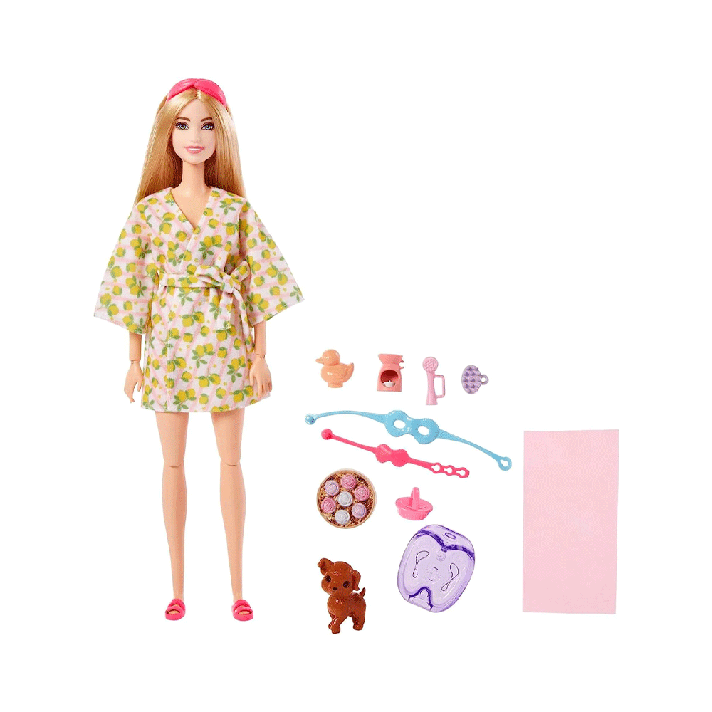 HKT90 GKH73 BRB WELLNESS DOLL ASST