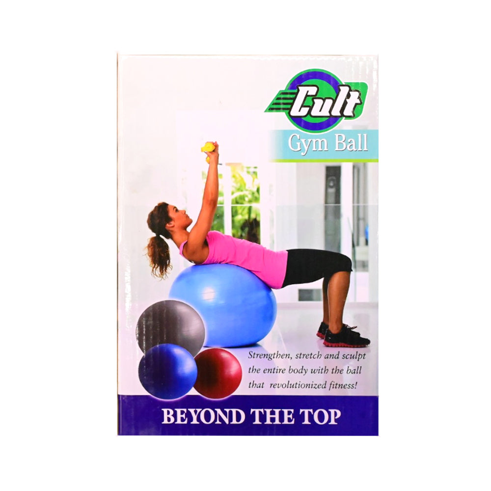 GYM BALL 85CM EXERCISE