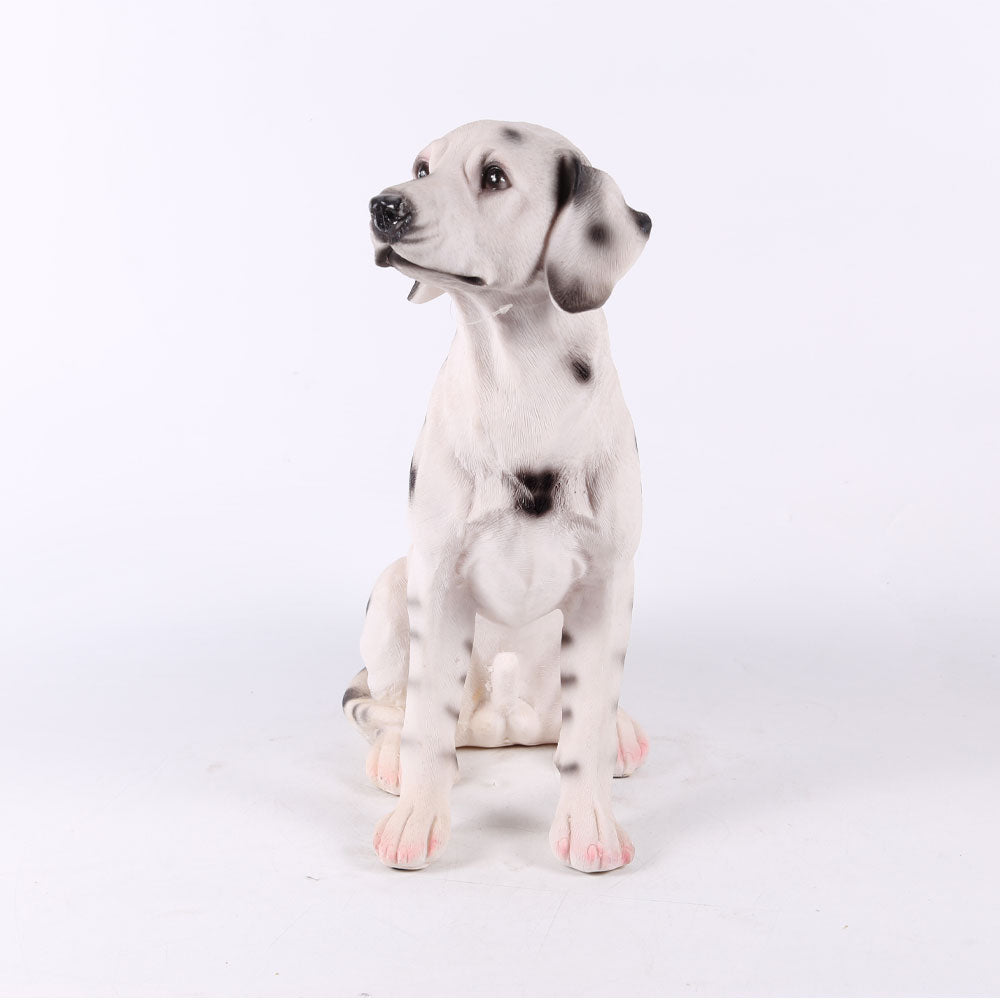 Dog Ir 158