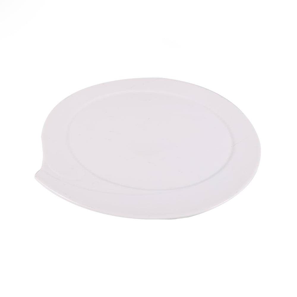 DISH PORCELAIN WHITE IR 12INCH G024
